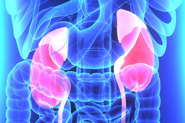 Urologija u Bolnici Sveti Nikola