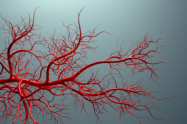 Vaskularna hirurgija u Bolnici Sveti Nikola